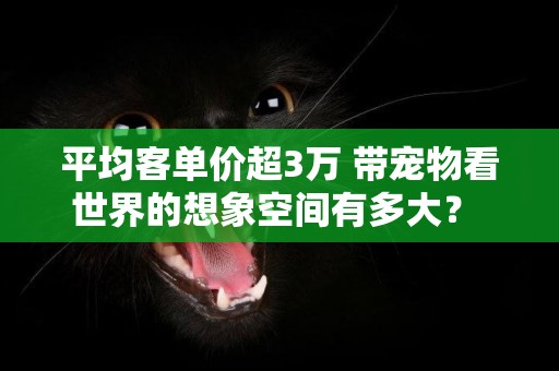 平均客單價超3萬 帶寵物看世界的想象空間有多大？ 
