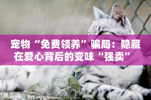 寵物“免費領養”騙局：隱藏在愛心背后的變味“強賣” 