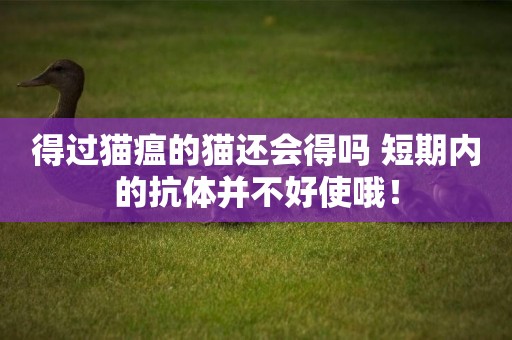 得過貓瘟的貓還會得嗎 短期內的抗體并不好使哦！