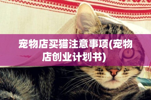寵物店買貓注意事項(寵物店創業計劃書) 