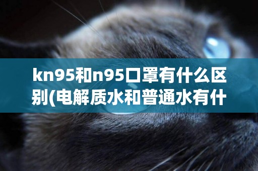 kn95和n95口罩有什么區別(電解質水和普通水有什么區別) 