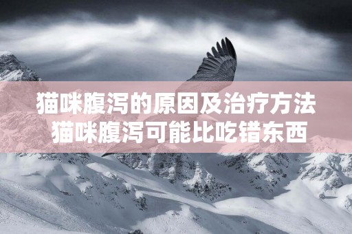 貓咪腹瀉的原因及治療方法 貓咪腹瀉可能比吃錯東西更嚴重
