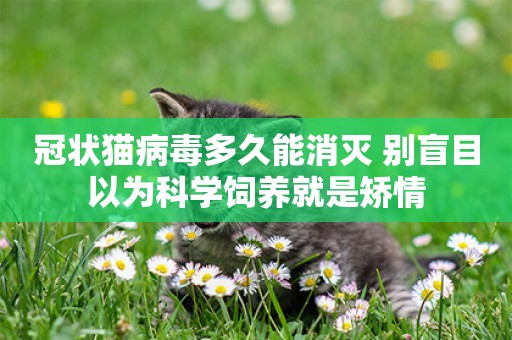 冠狀貓病毒多久能消滅 別盲目以為科學飼養就是矯情