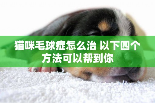 貓咪毛球癥怎么治 以下四個方法可以幫到你 貓咪毛球癥怎么治 以下四個方法可以幫到你