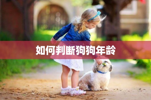 如何判斷狗狗年齡