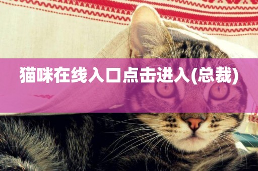 貓咪在線入口點擊進入(總裁) 