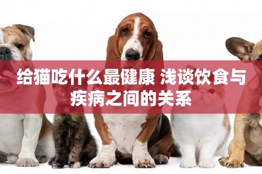 給貓吃什么最健康 淺談飲食與疾病之間的關系