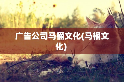 廣告公司馬桶文化(馬桶文化) 