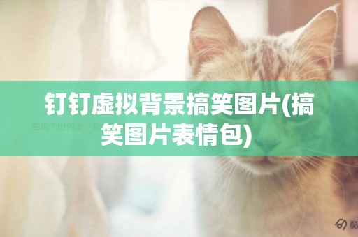 釘釘虛擬背景搞笑圖片(搞笑圖片表情包) 