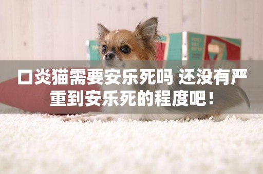 口炎貓需要安樂死嗎 還沒有嚴重到安樂死的程度吧！