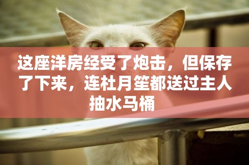 這座洋房經受了炮擊，但保存了下來，連杜月笙都送過主人抽水馬桶 