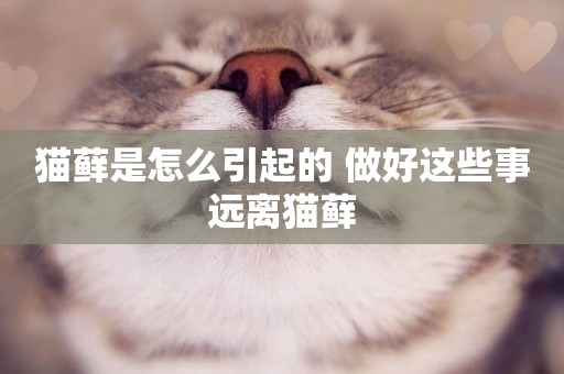貓蘚是怎么引起的 做好這些事遠離貓蘚
