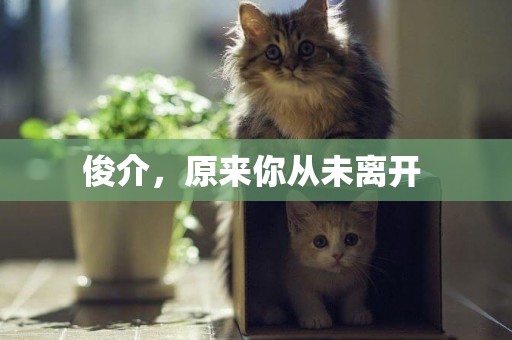 俊介，原來你從未離開 
