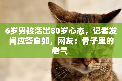 6歲男孩活出80歲心態，記者發問應答自如，網友：骨子里的老氣 