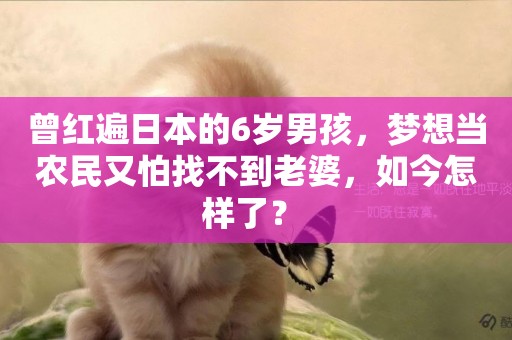曾紅遍日本的6歲男孩，夢想當農民又怕找不到老婆，如今怎樣了？ 