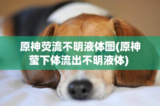 原神熒流不明液體圖(原神瑩下體流出不明液體) 