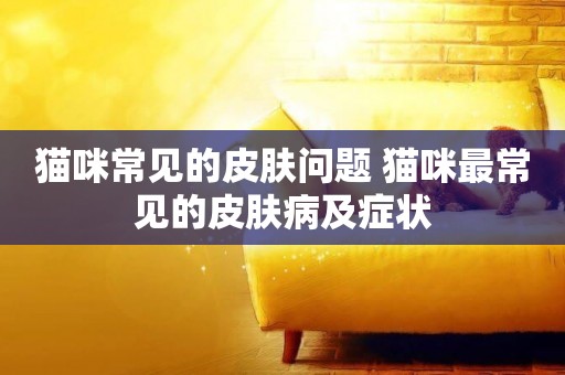 貓咪常見的皮膚問題 貓咪最常見的皮膚病及癥狀