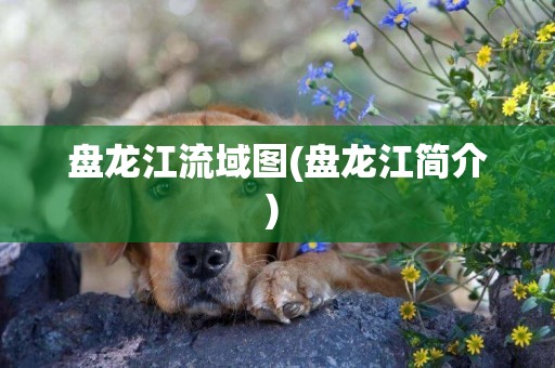 盤龍江流域圖(盤龍江簡介) 