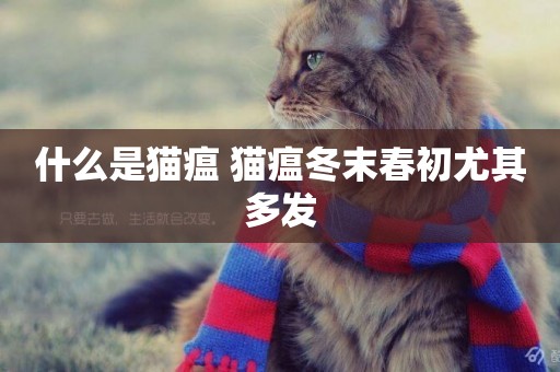 什么是貓瘟 貓瘟冬末春初尤其多發 什么是貓瘟 貓瘟冬末春初尤其多發