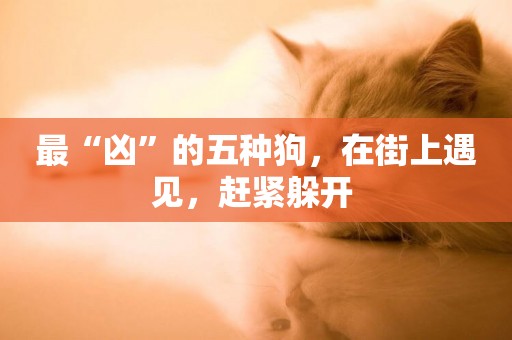 最“兇”的五種狗，在街上遇見，趕緊躲開 