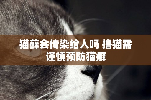 貓蘚會傳染給人嗎 擼貓需謹慎預防貓癬