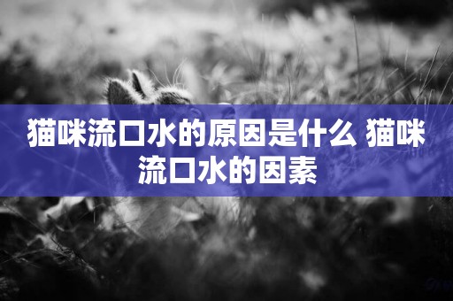貓咪流口水的原因是什么 貓咪流口水的因素