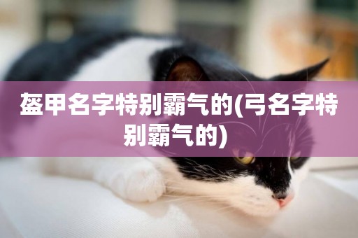 盔甲名字特別霸氣的(弓名字特別霸氣的) 