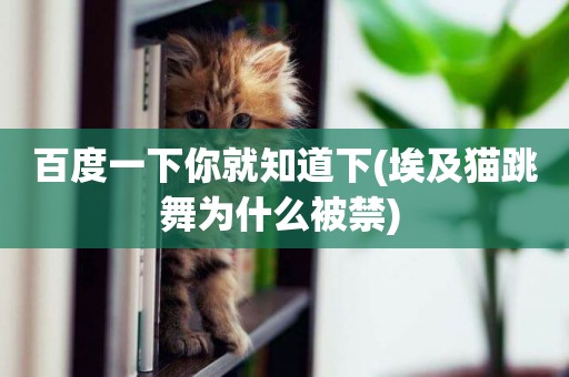 百度一下你就知道下(埃及貓跳舞為什么被禁) 