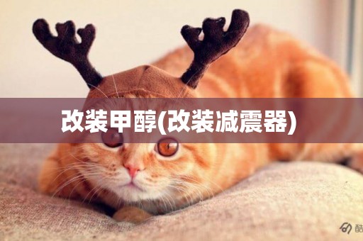 改裝甲醇(改裝減震器) 