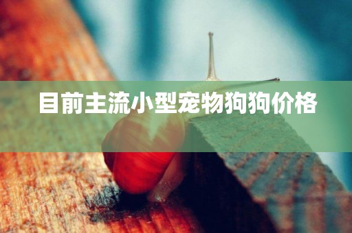 目前主流小型寵物狗狗價格 