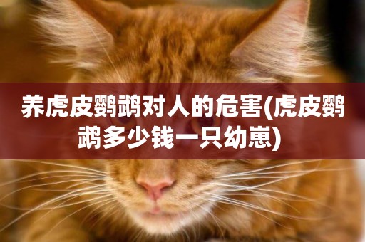 養虎皮鸚鵡對人的危害(虎皮鸚鵡多少錢一只幼崽) 