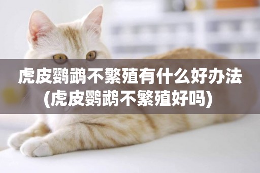 虎皮鸚鵡不繁殖有什么好辦法(虎皮鸚鵡不繁殖好嗎) 