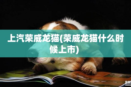 上汽榮威龍貓(榮威龍貓什么時候上市) 