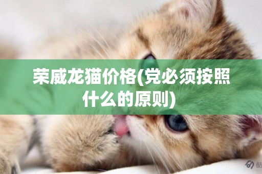 榮威龍貓價格(黨必須按照什么的原則) 