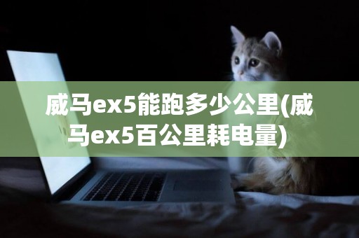 威馬ex5能跑多少公里(威馬ex5百公里耗電量) 
