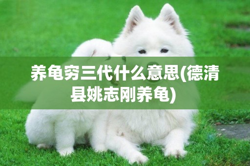 養龜窮三代什么意思(德清縣姚志剛養龜) 