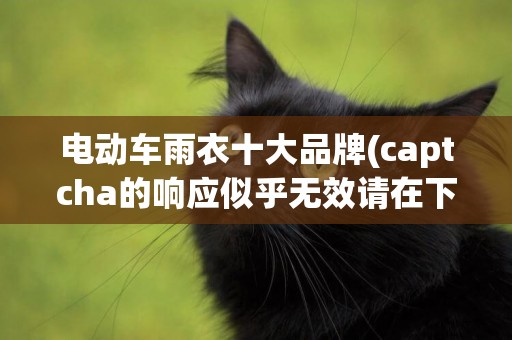 電動車雨衣十大品牌(captcha的響應似乎無效請在下方重新驗證您不是機器人) 