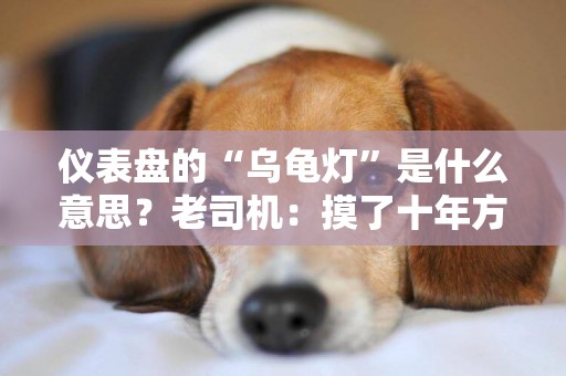儀表盤的“烏龜燈”是什么意思？老司機：摸了十年方向盤還不懂 