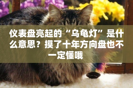 儀表盤亮起的“烏龜燈”是什么意思？摸了十年方向盤也不一定懂哦 