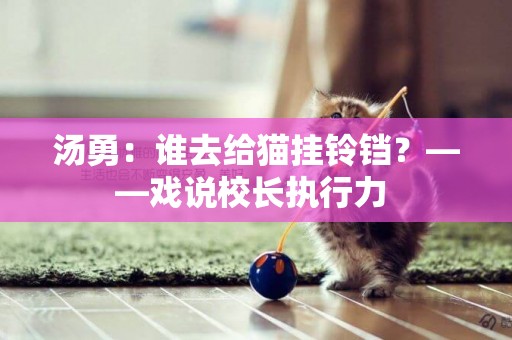 湯勇：誰去給貓掛鈴鐺？——戲說校長執行力 