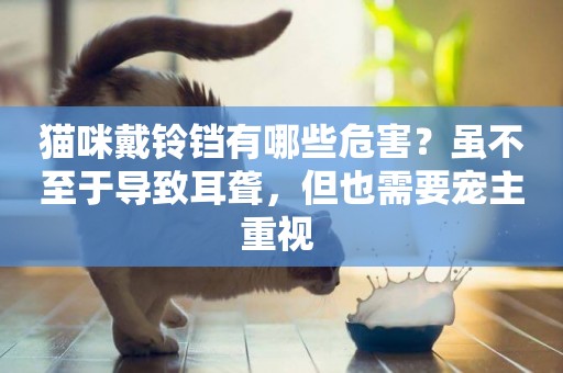 貓咪戴鈴鐺有哪些危害？雖不至于導致耳聾，但也需要寵主重視 