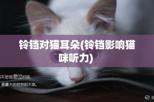 鈴鐺對貓耳朵(鈴鐺影響貓咪聽力) 
