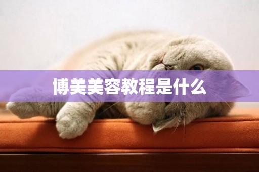 博美美容教程是什么