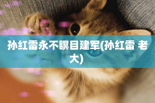 孫紅雷永不瞑目建軍(孫紅雷 老大) 