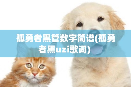 孤勇者黑管數字簡譜(孤勇者黑uzi歌詞) 