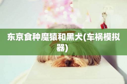 東京食種魔猿和黑犬(車禍模擬器) 