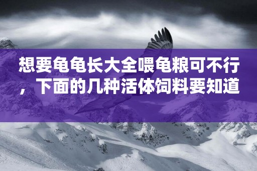 想要龜龜長大全喂龜糧可不行，下面的幾種活體飼料要知道 