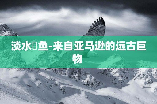 淡水魟魚-來自亞馬遜的遠古巨物 