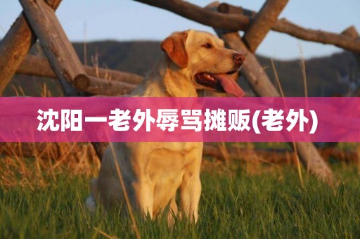 沈陽一老外辱罵攤販(老外) 