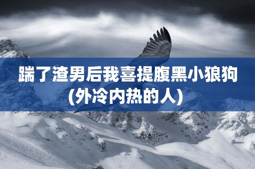 踹了渣男后我喜提腹黑小狼狗(外冷內熱的人) 